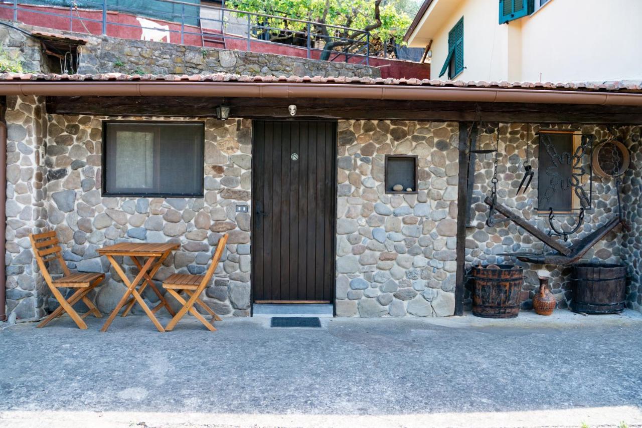 Antica Macina - “La Taverna” ロッケッタ・ネルヴィーナ エクステリア 写真